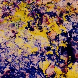 Meet your Posher, Bailey